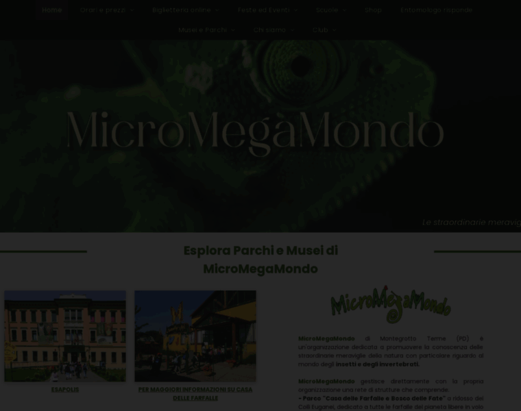 Micromegamondo.com thumbnail