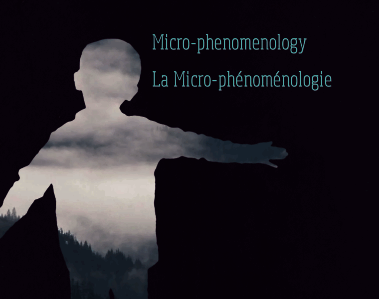 Microphenomenology.com thumbnail