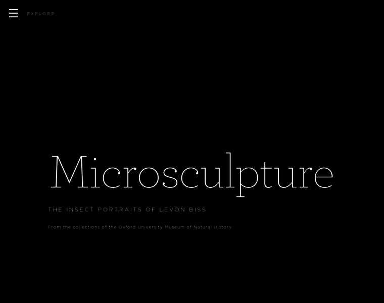 Microsculpture.net thumbnail