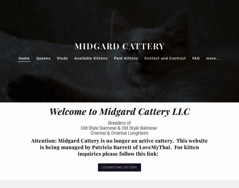Midgardcattery.com thumbnail