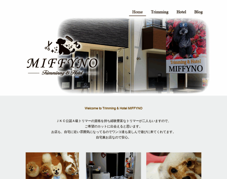 Miffyno.com thumbnail