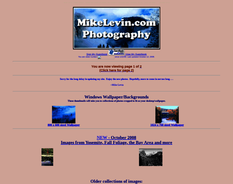 Mikelevin.com thumbnail