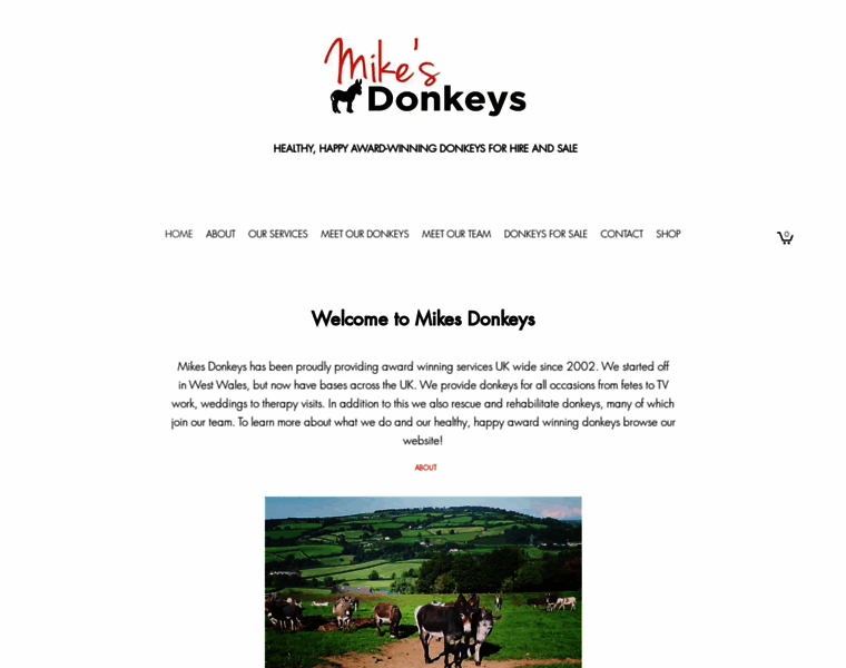 Mikesdonkeys.co.uk thumbnail