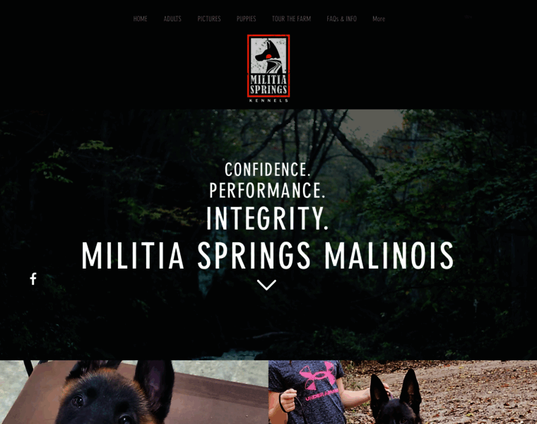 Militiaspringsmalinois.com thumbnail
