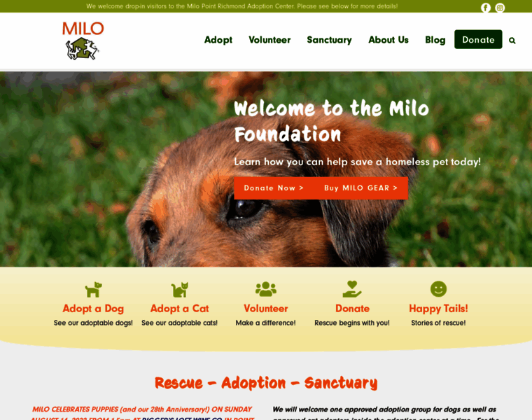 Milofoundation.org thumbnail