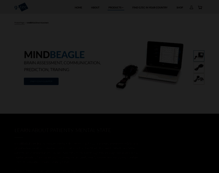 Mindbeagle.at thumbnail
