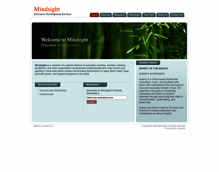Mindsightasia.com thumbnail