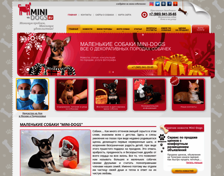 Mini-dogs.ru thumbnail