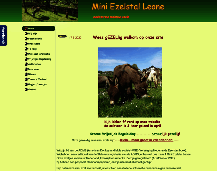 Mini-ezelstal-leone.nl thumbnail