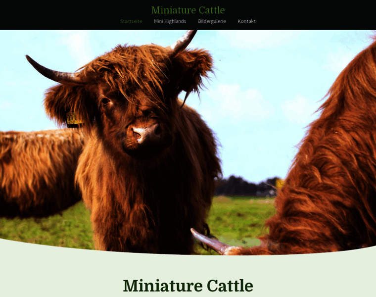 Miniature-cattle.de thumbnail