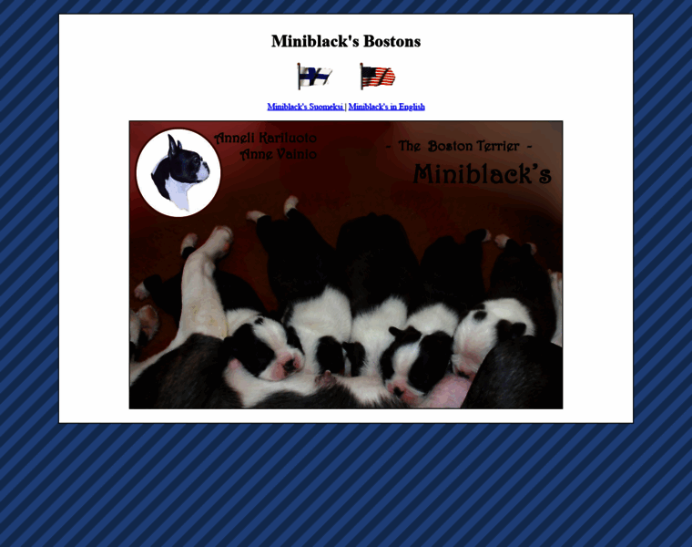 Miniblacks.fi thumbnail