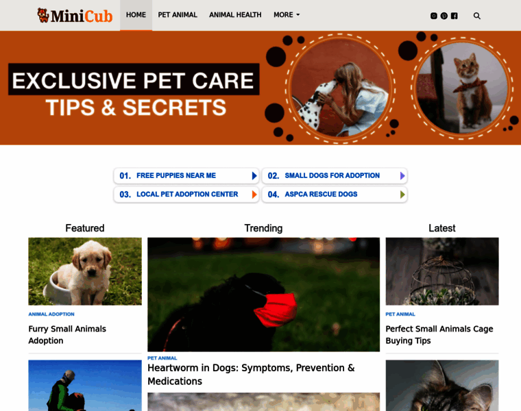 Minicub.net thumbnail