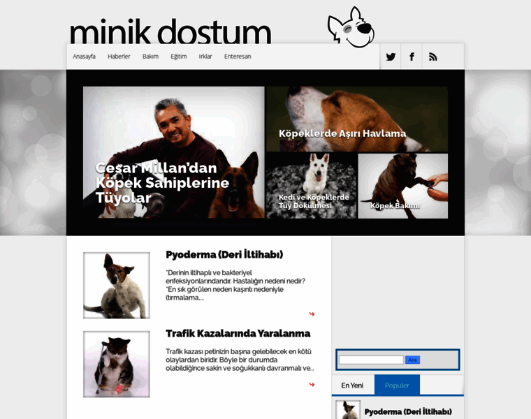 Minikdostum.com thumbnail