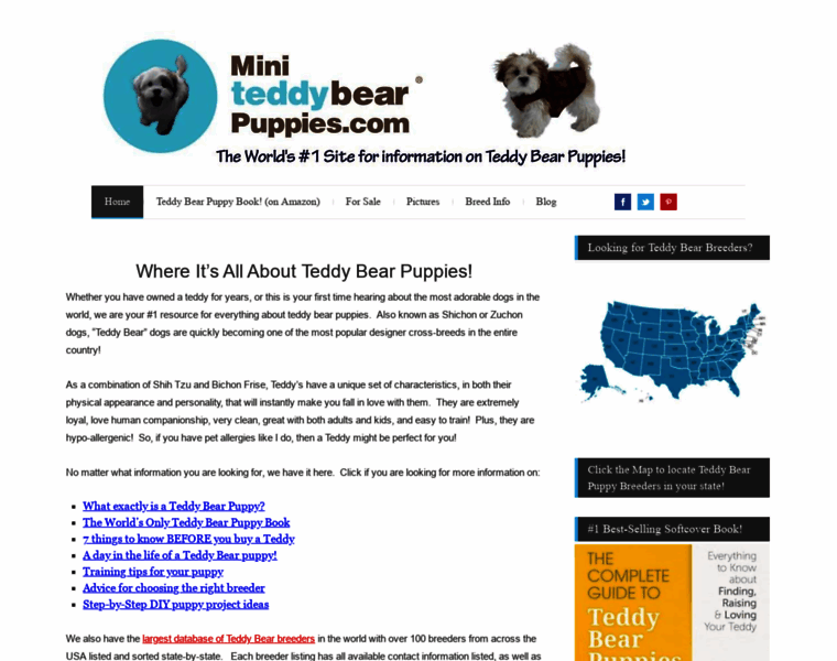 Miniteddybearpuppies.com thumbnail