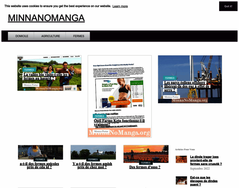 Minnanomanga.org thumbnail