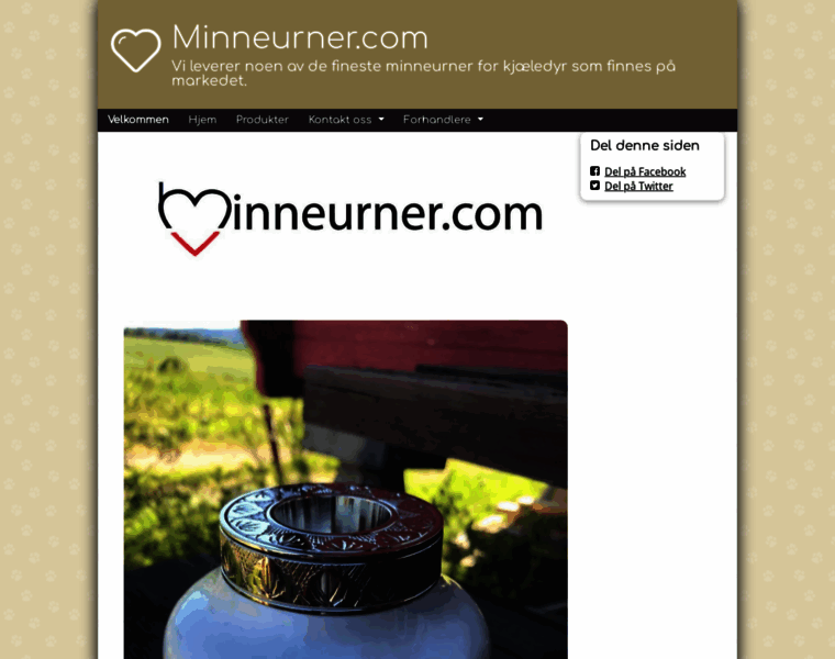 Minneurner.com thumbnail