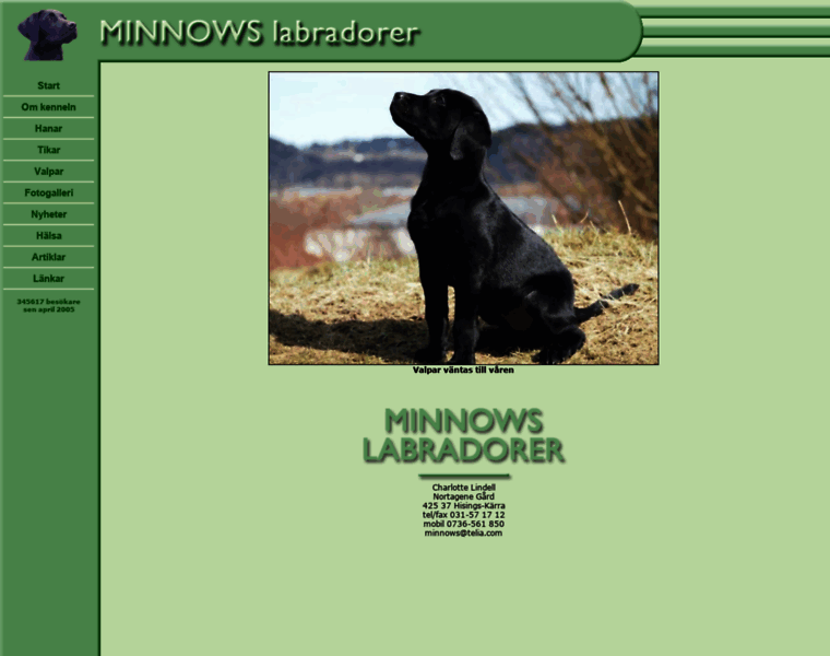 Minnows.se thumbnail