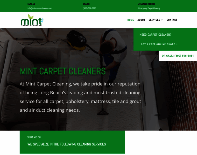 Mintcarpetcleaners.com thumbnail