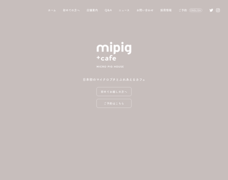 Mipig.cafe thumbnail