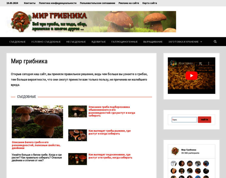 Mirgribnika.ru thumbnail