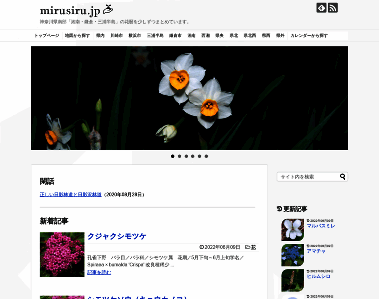 Mirusiru.jp thumbnail