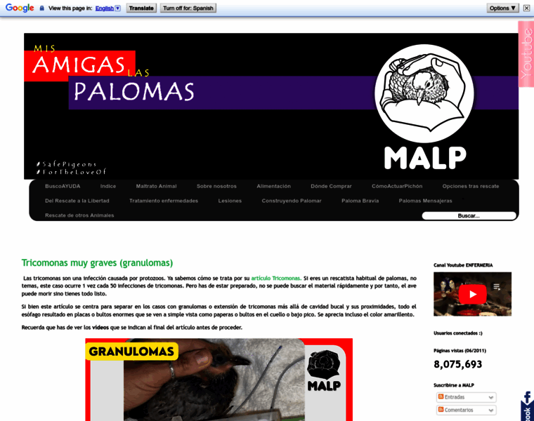 Misamigaslaspalomas.com thumbnail