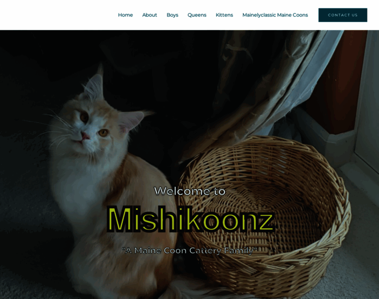 Mishikoonz.com thumbnail