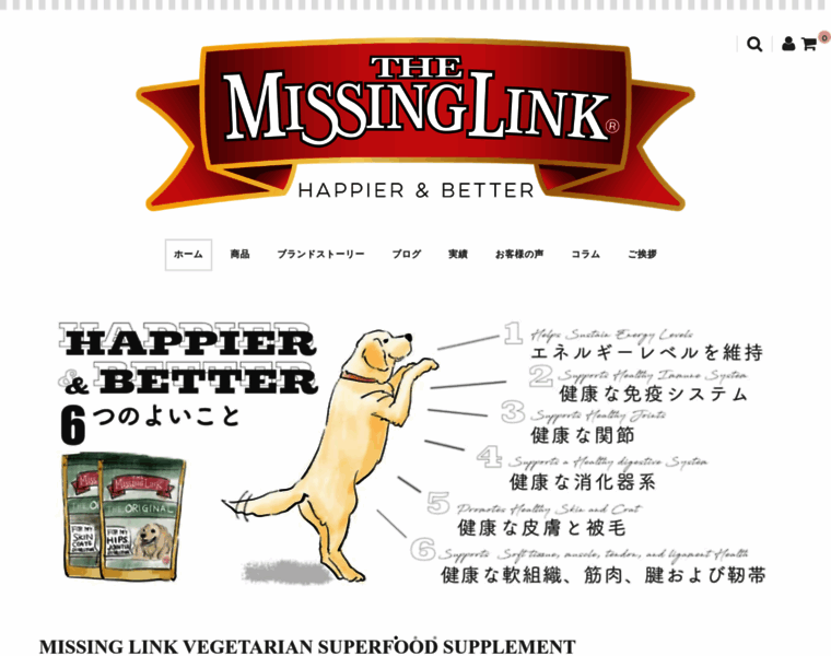 Missinglink-jp.com thumbnail