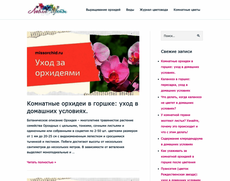 Missorchid.ru thumbnail