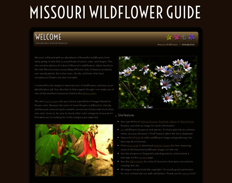 Missouriwildflowerguide.com thumbnail