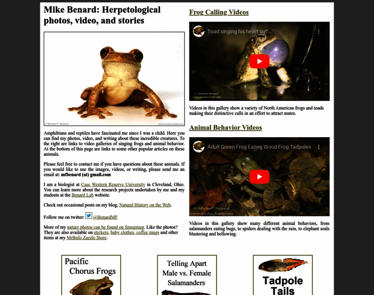 Mister-toad.com thumbnail