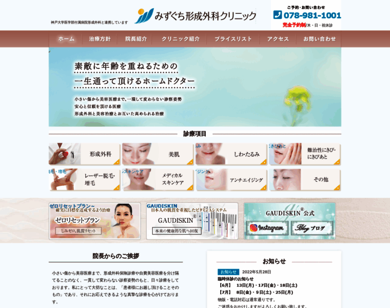 Mizuguchi-clinic.jp thumbnail
