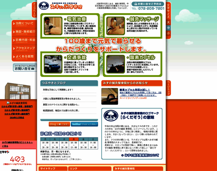 Mizuno-seikotsuin.com thumbnail