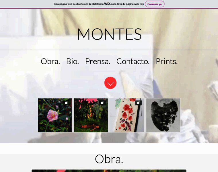 Mmontes.com.ar thumbnail
