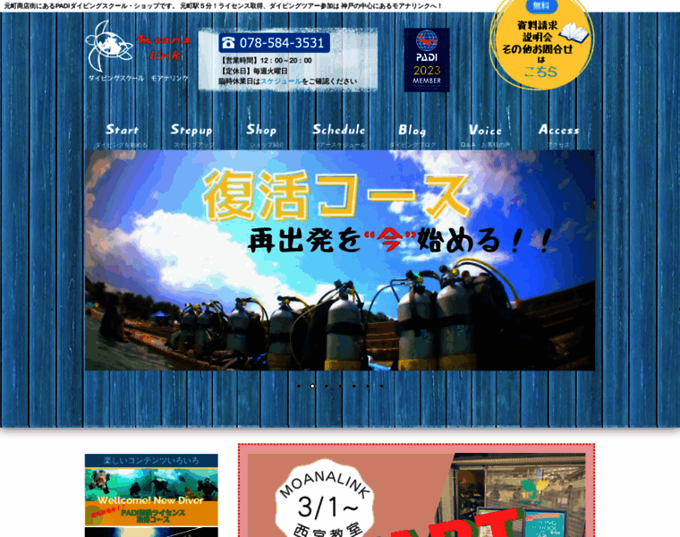 Moanalink.com thumbnail