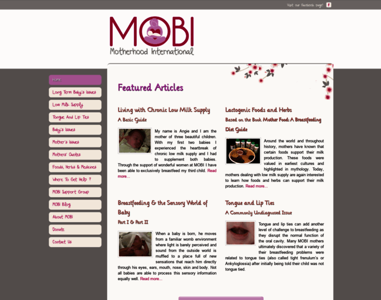 Mobimotherhood.org thumbnail