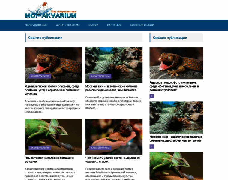 Moi-akvarium.ru thumbnail