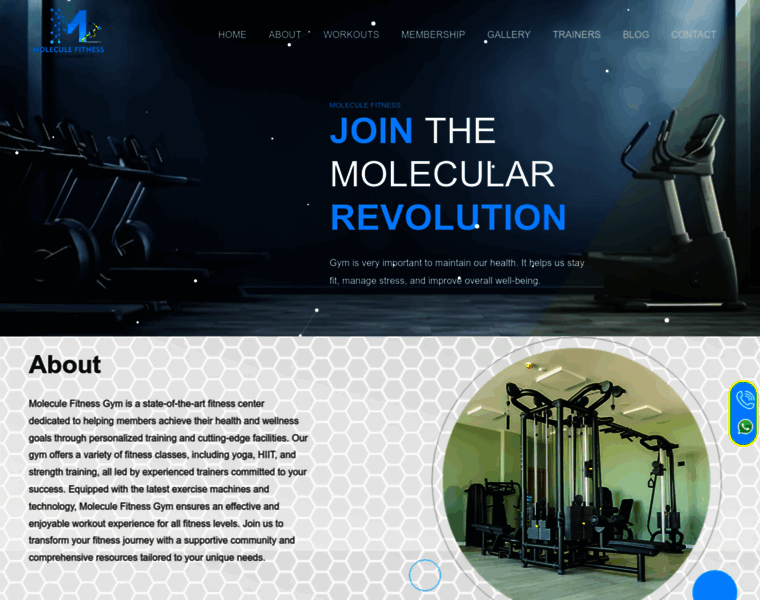 Moleculefitness.in thumbnail Moleculefitness.in thumbnail