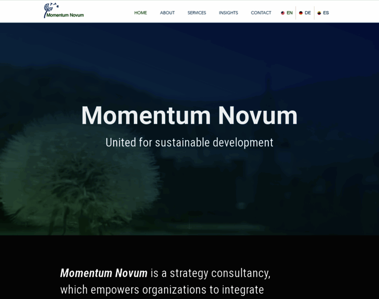 Momentumnovum.com thumbnail