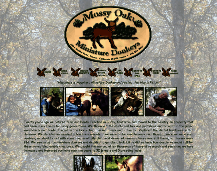 Momsdonkeys.com thumbnail