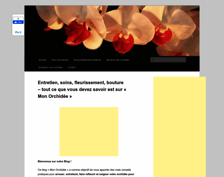 Mon-orchidee.com thumbnail
