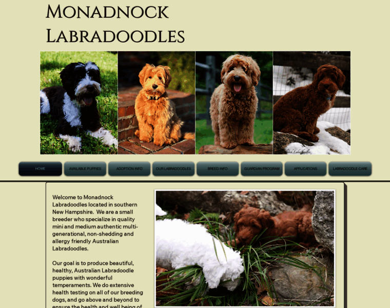 Monadnocklabradoodles.com thumbnail