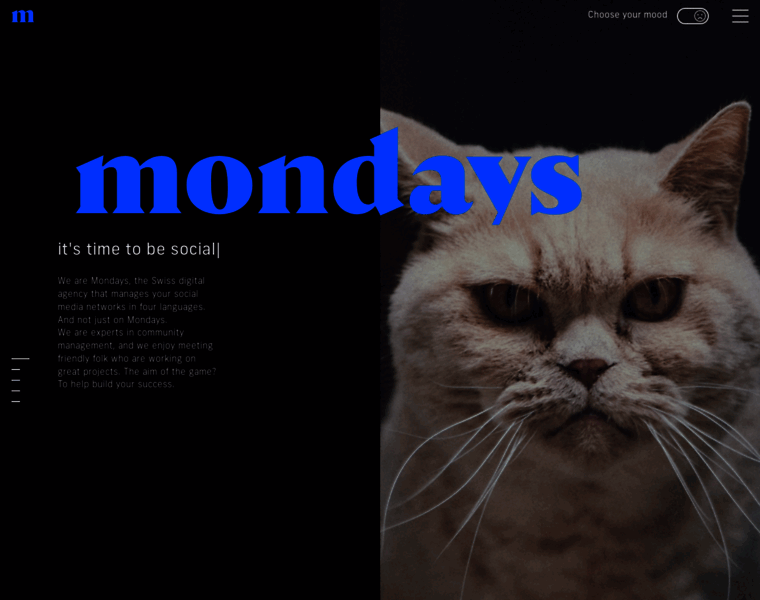 Mondays.ch thumbnail