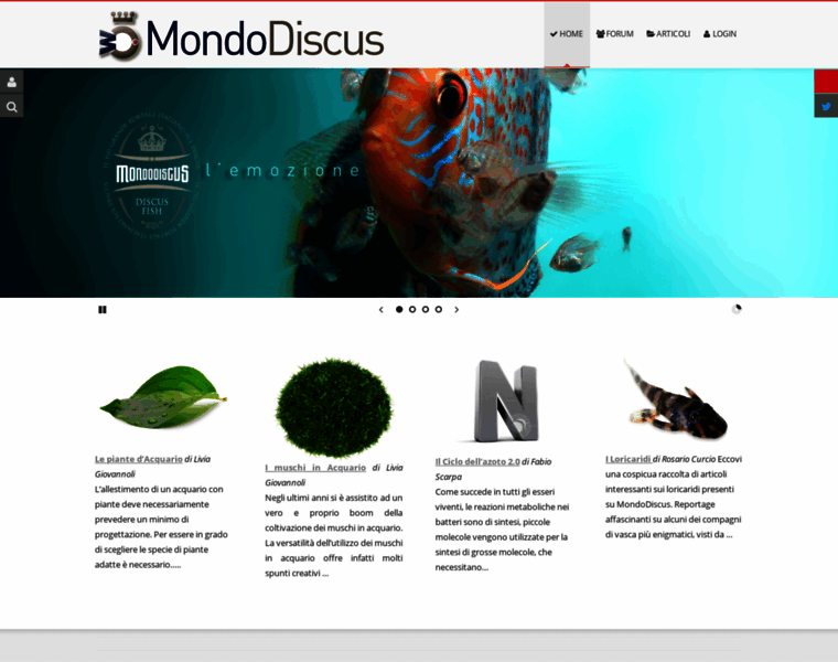 Mondodiscus.com thumbnail