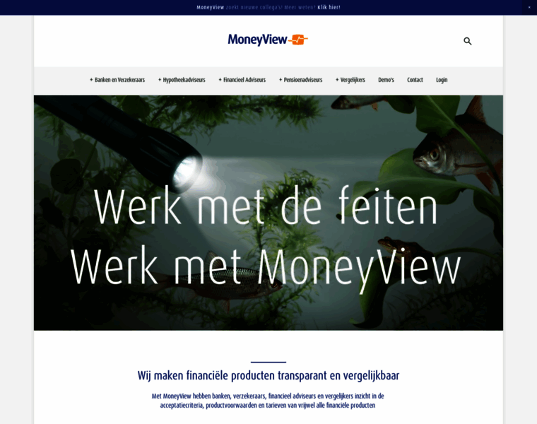 Moneyview.nl thumbnail