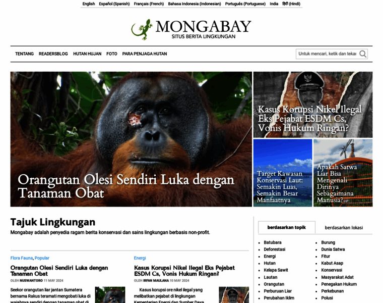 Mongabay.co.id thumbnail