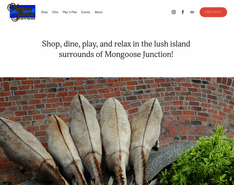 Mongoosejunctionstjohn.com thumbnail Mongoosejunctionstjohn.com thumbnail