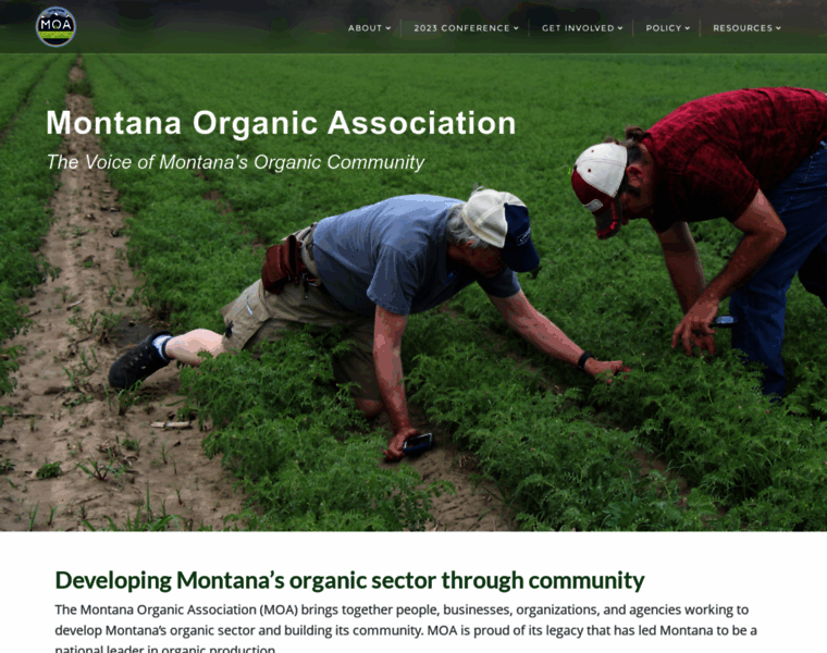 Montanaorganicassociation.org thumbnail