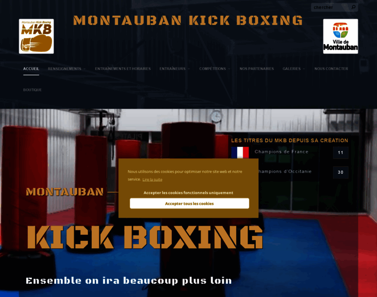 Montaubankickboxing.com thumbnail