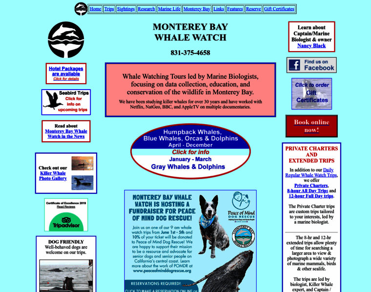 Montereybaywhalewatch.com thumbnail